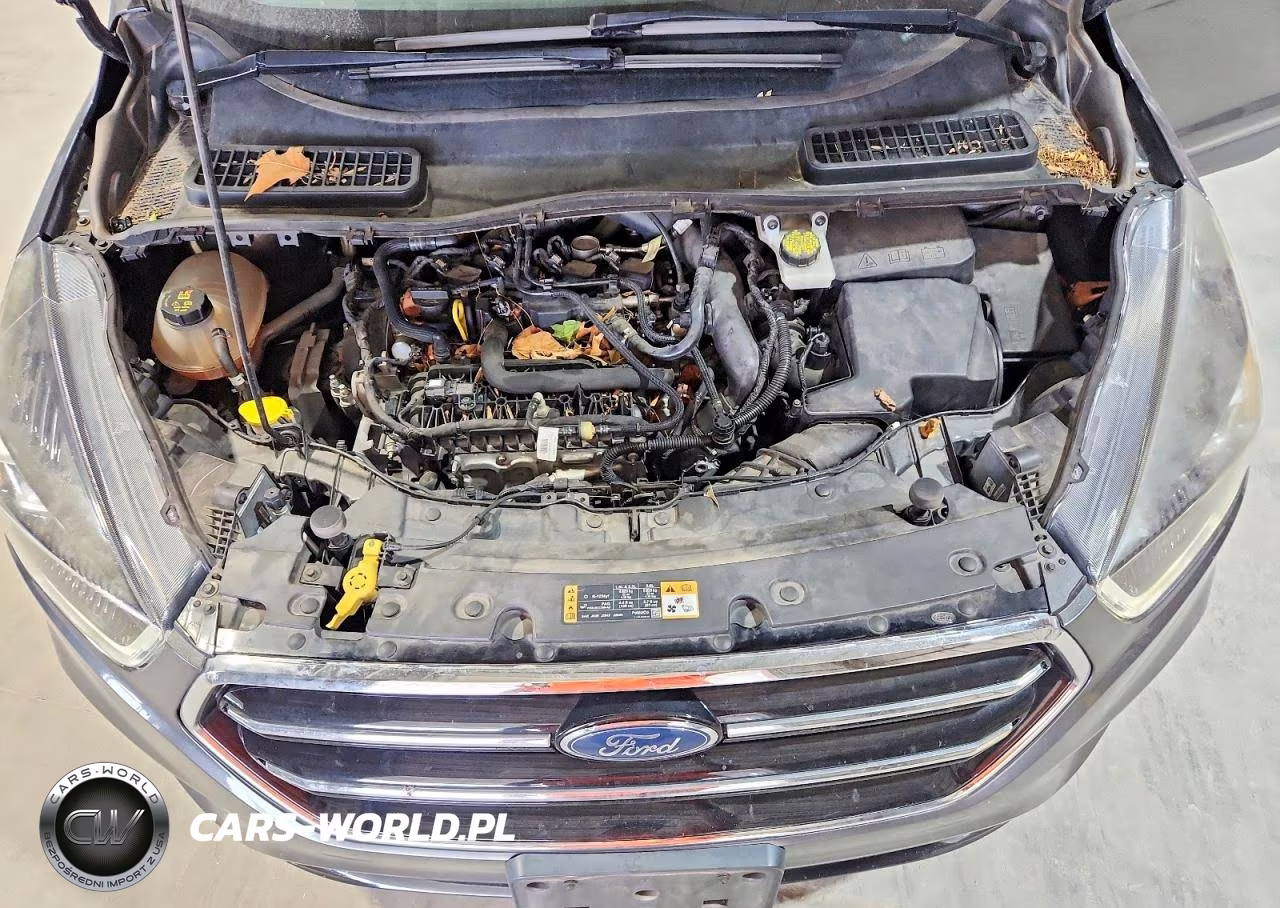 2019 Ford Escape Se VIN:1FMCU0GD2KUB10632 - 12