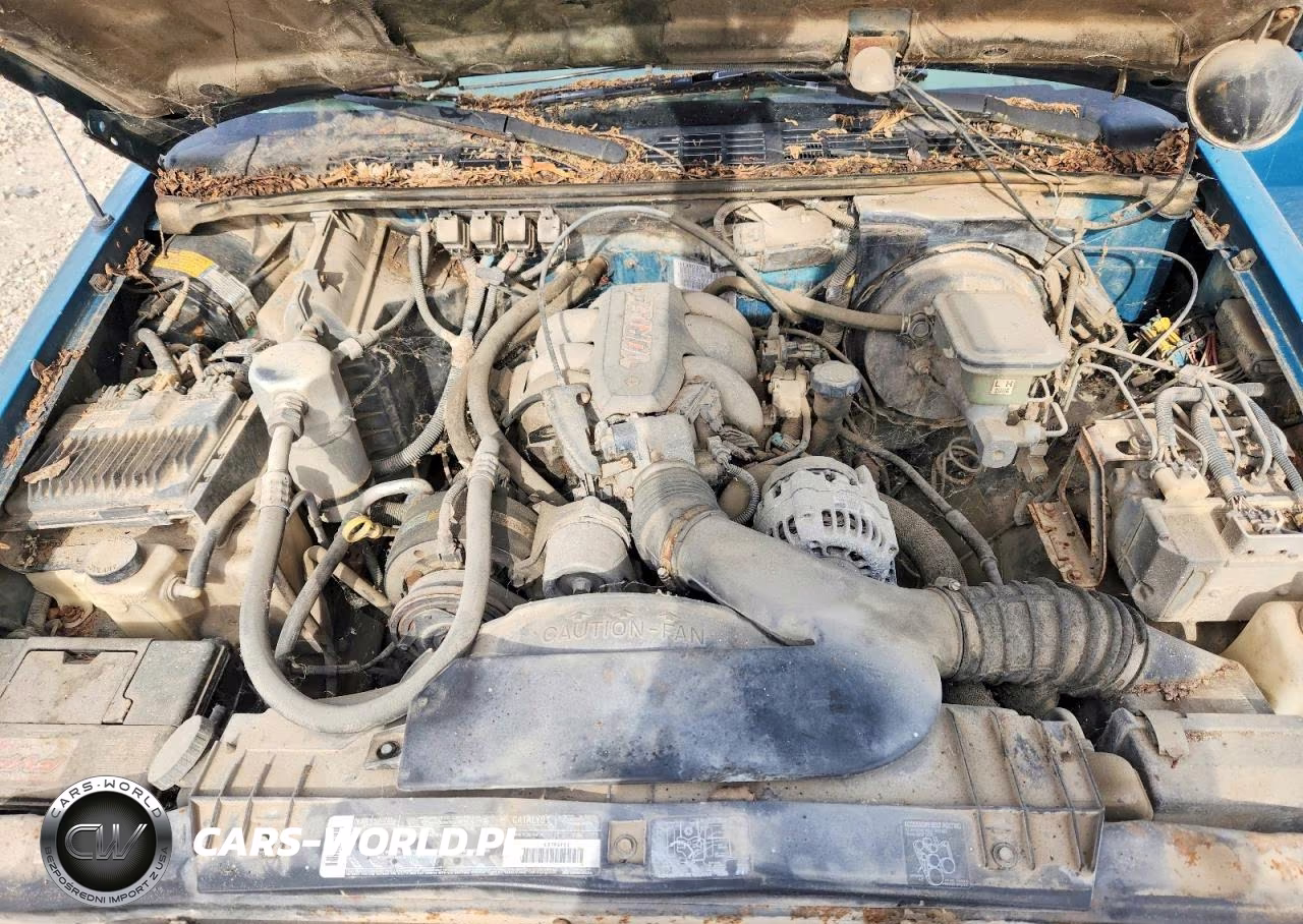 1995 Chevrolet S Truck S10 VIN:1GCCS19W7S8191084 - 11