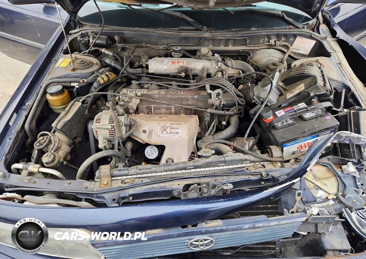 1991 Toyota Camry Le VIN:JT2SV22E0M3461047 - 11