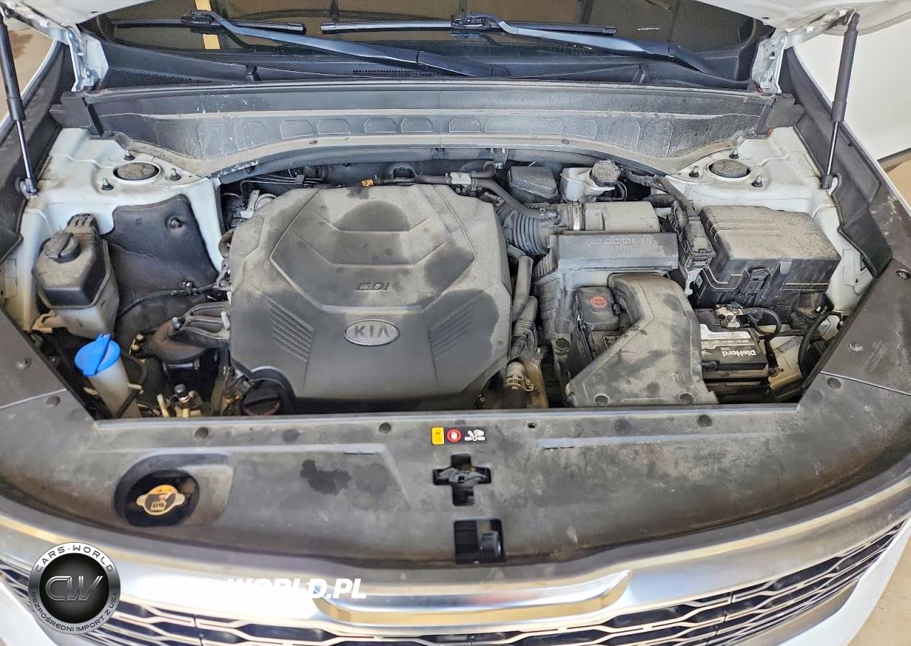2020 Kia Telluride S VIN:5XYP6DHC9LG011631 - 12