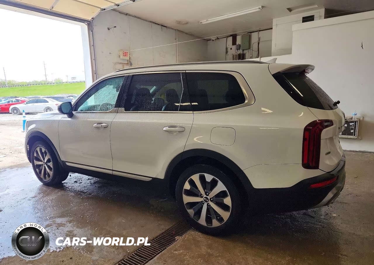 2020 Kia Telluride S VIN:5XYP6DHC9LG011631 - 2