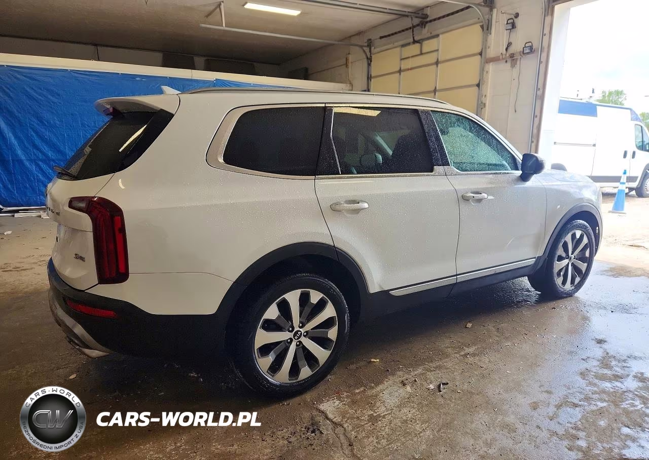 2020 Kia Telluride S VIN:5XYP6DHC9LG011631 - 3