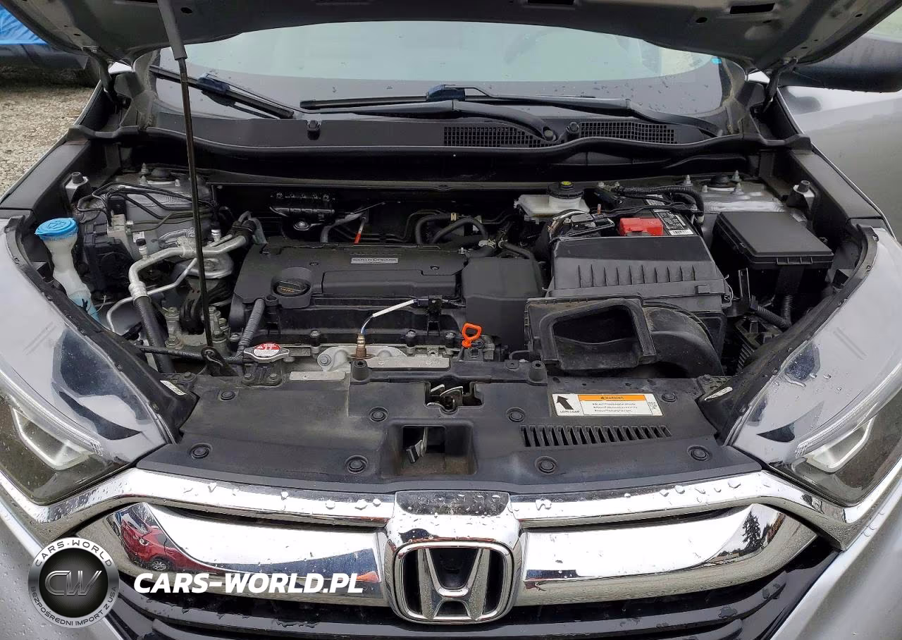 2019 Honda Cr-V Lx VIN:5J6RW6H36KL001026 - 12