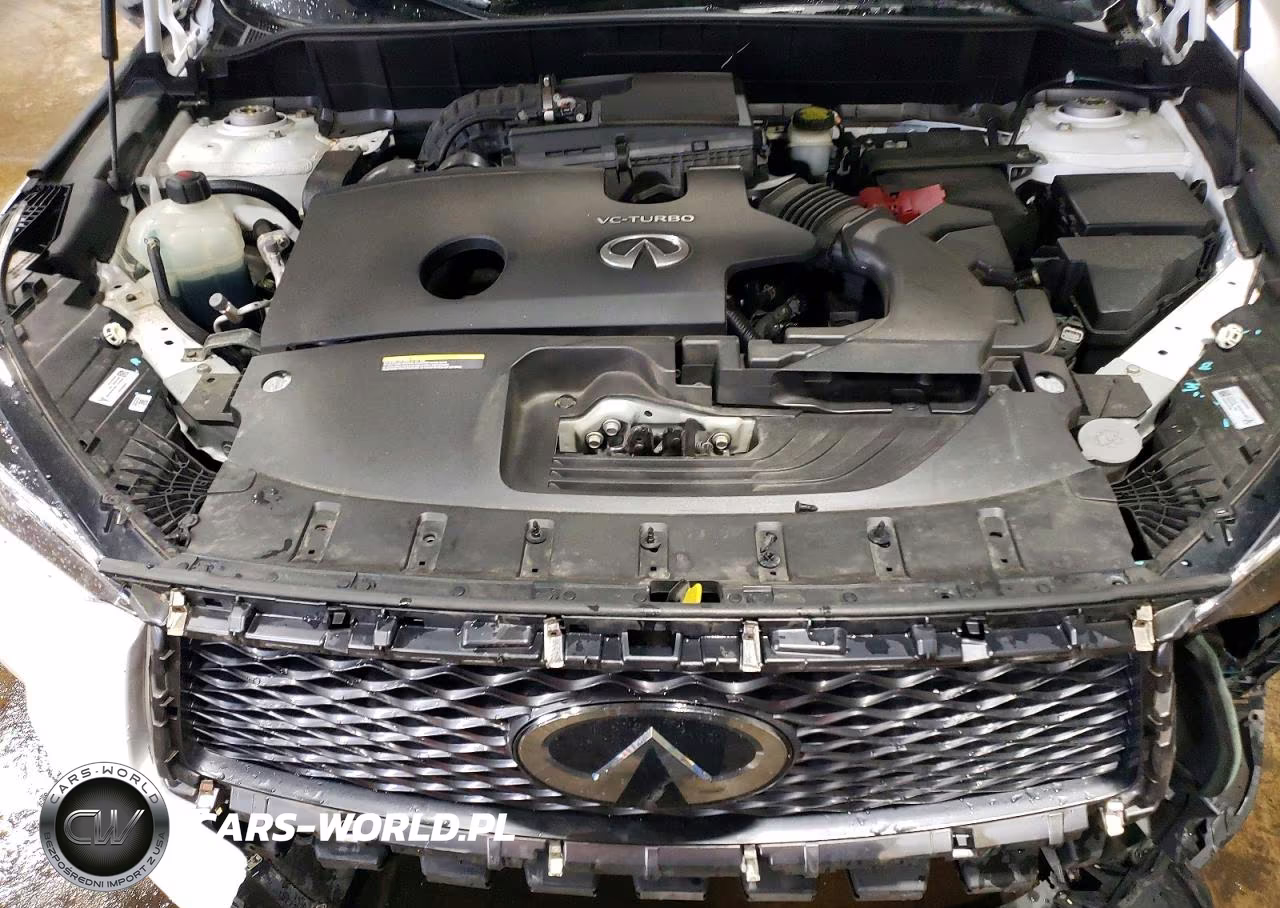 2019 Infiniti Qx50 Luxe VIN:3PCAJ5M31KF136466 - 11