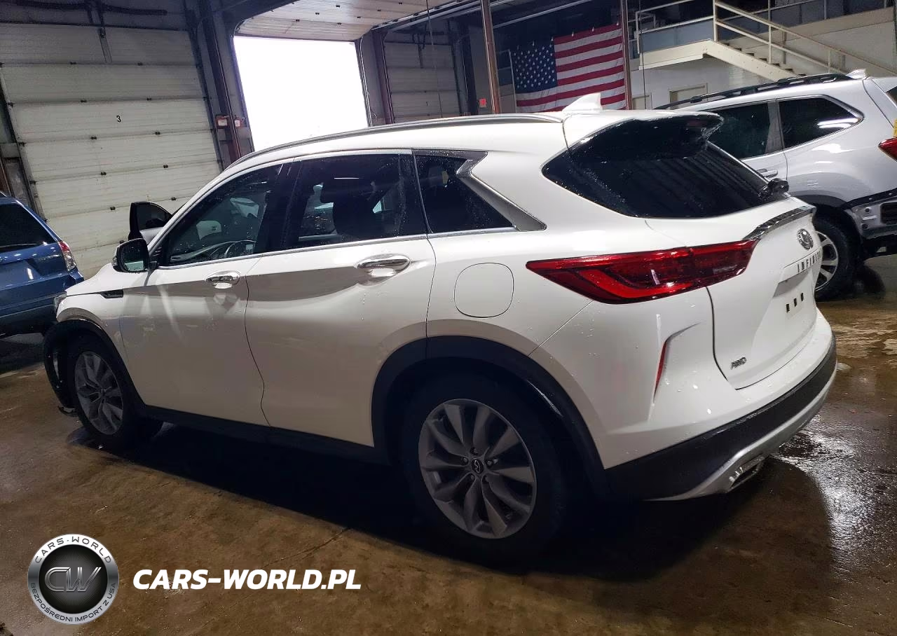 2019 Infiniti Qx50 Luxe VIN:3PCAJ5M31KF136466 - 2