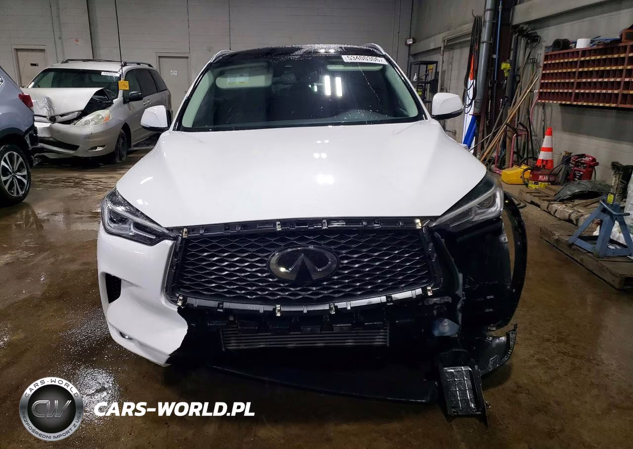 2019 Infiniti Qx50 Luxe VIN:3PCAJ5M31KF136466 - 5