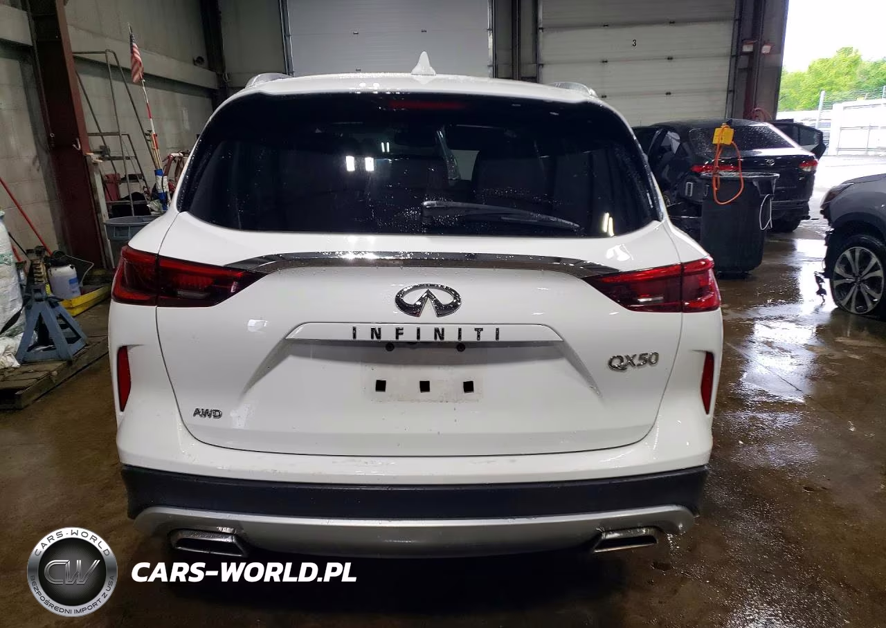 2019 Infiniti Qx50 Luxe VIN:3PCAJ5M31KF136466 - 6