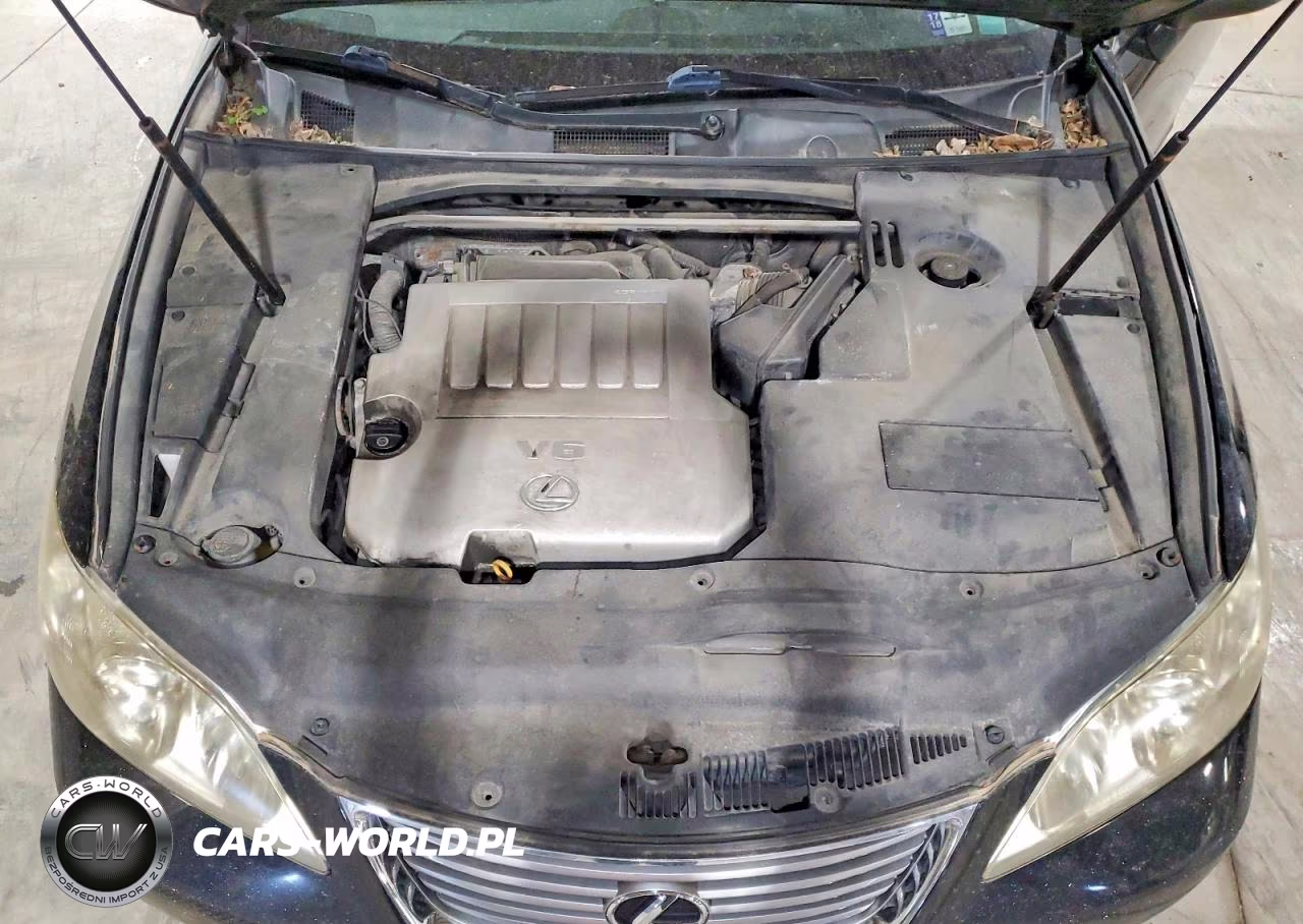 2009 Lexus Es 350 VIN:JTHBJ46G092274607 - 11