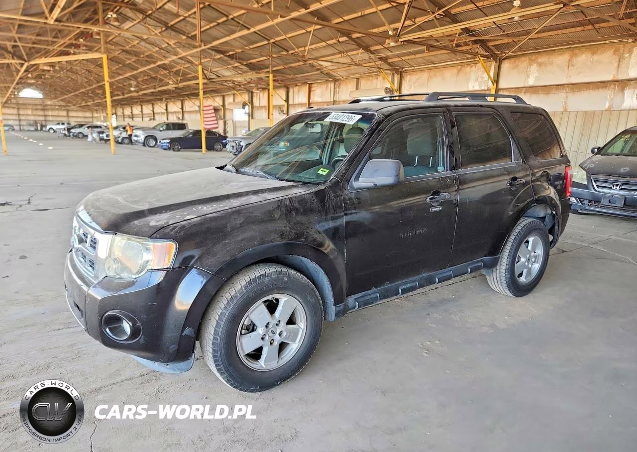 2010 Ford Escape Xlt