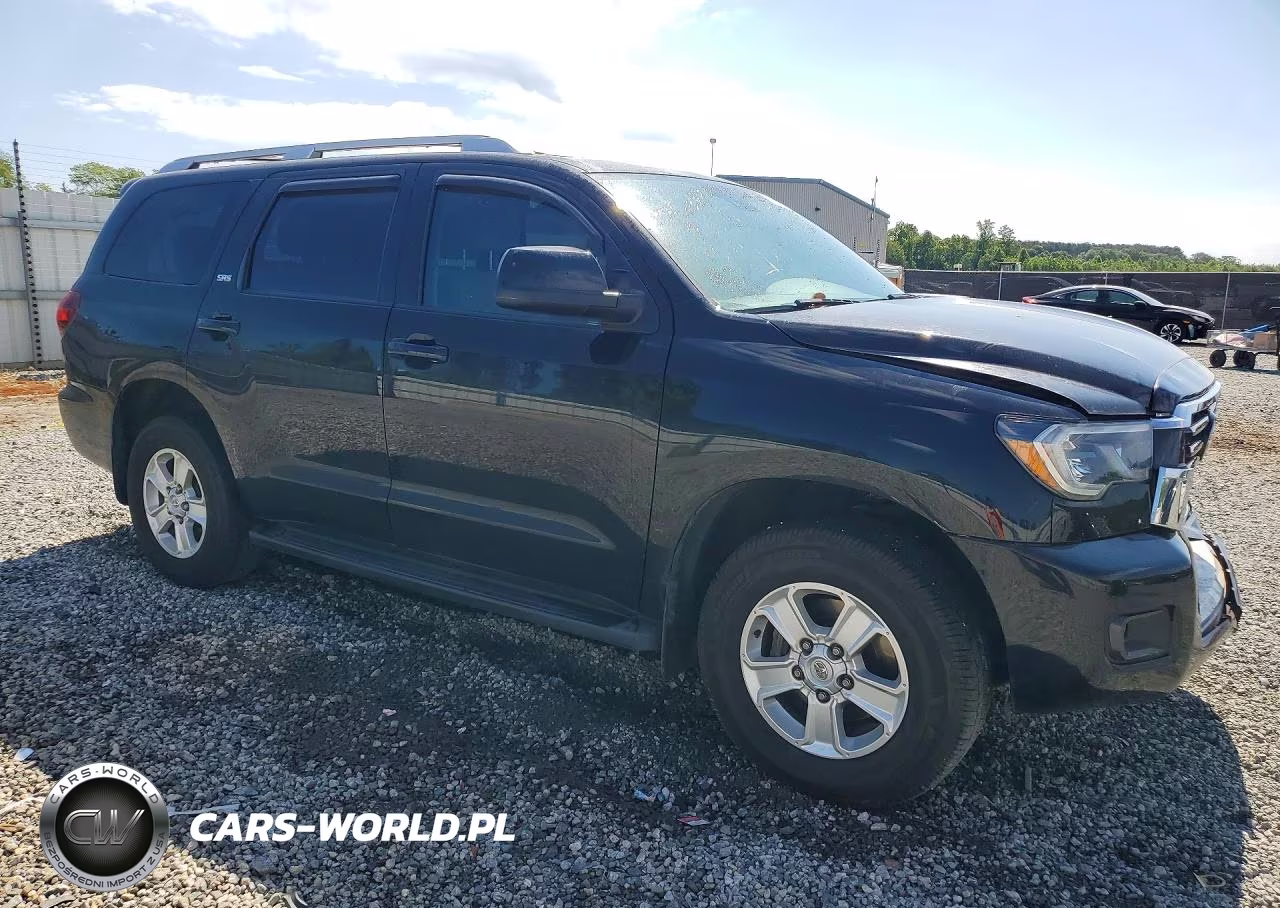 2022 Toyota Sequoia Sr5 VIN:5TDAY5B16NS189192 - 4