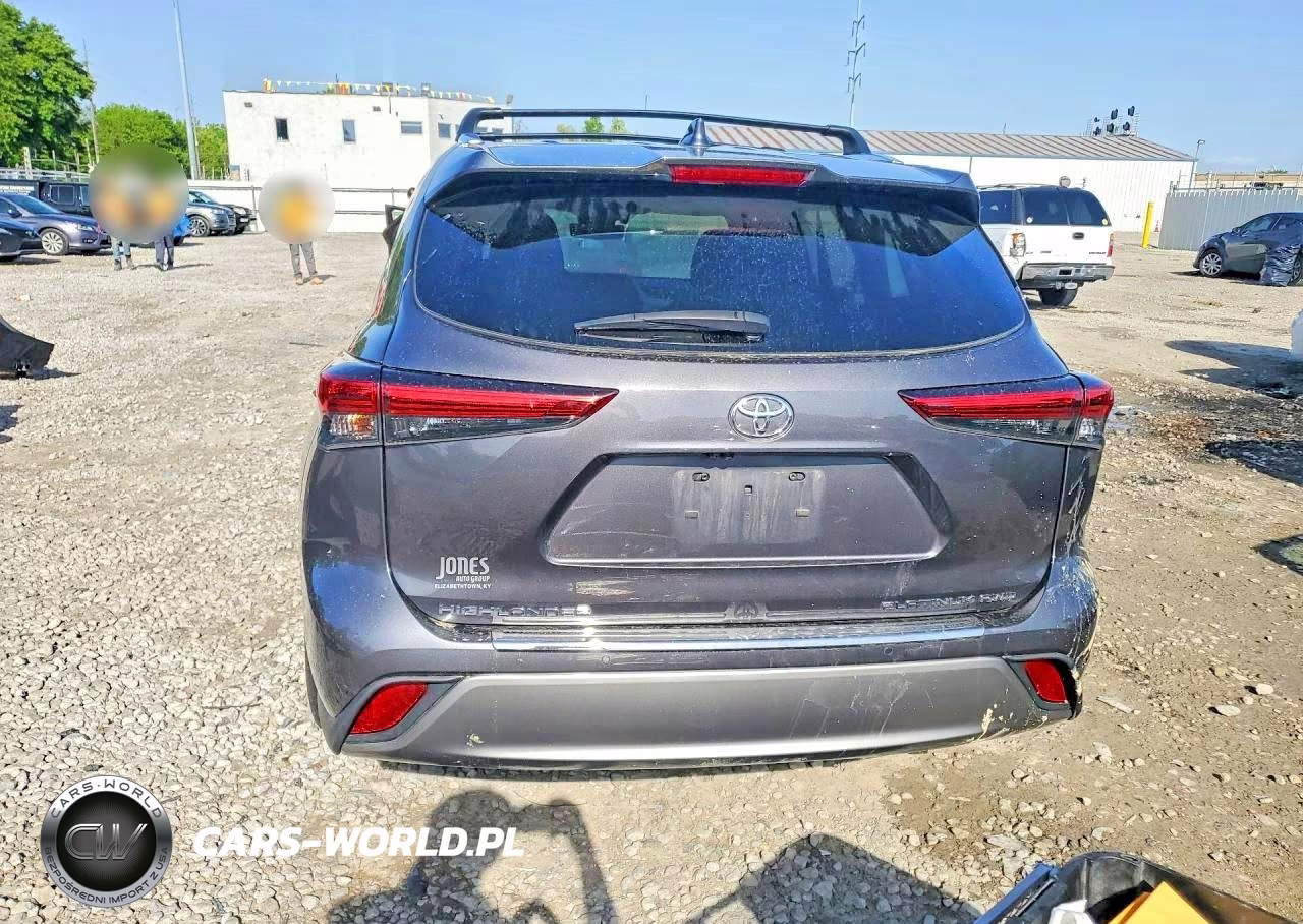 2022 Toyota Highlander Platinum VIN:5TDFZRBHXNS196413 - 6