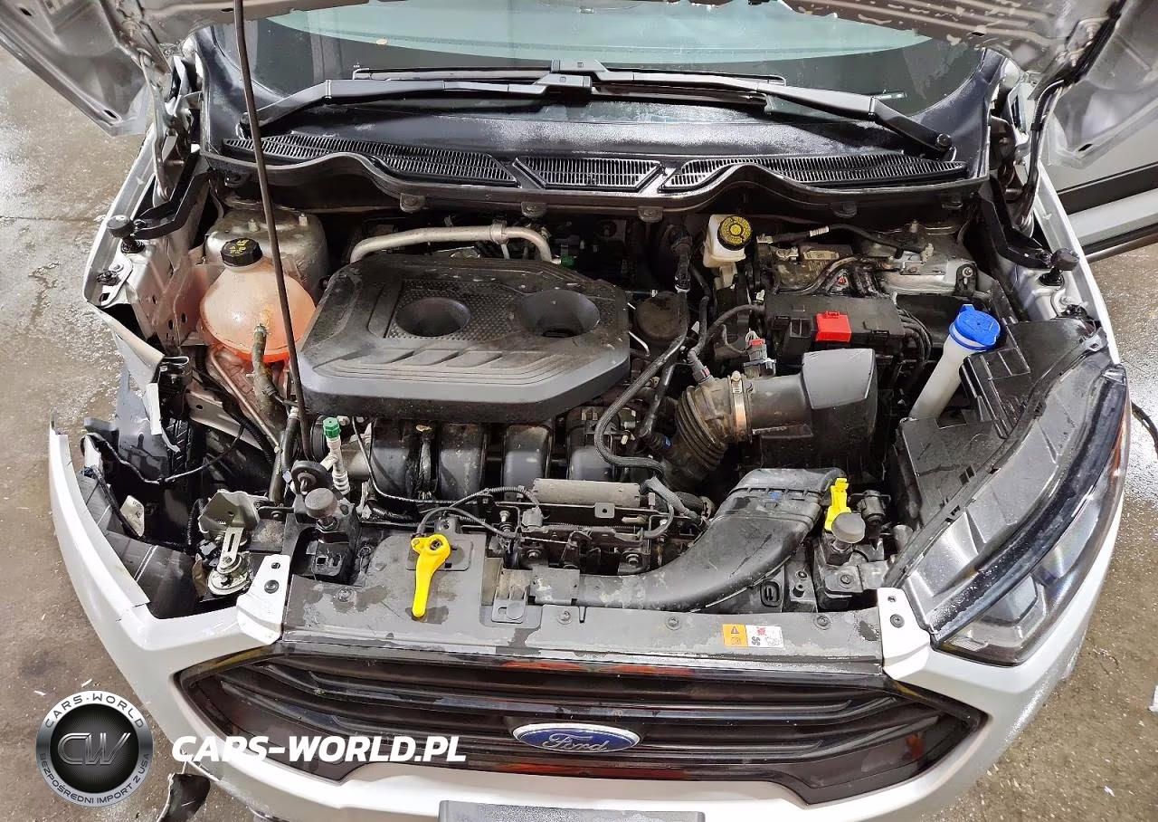 2022 Ford Ecosport Ses VIN:MAJ6S3JL6NC465263 - 12