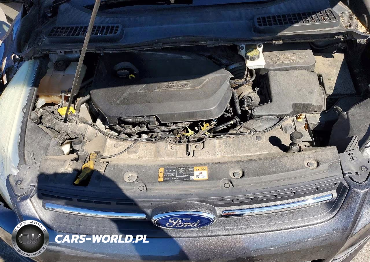 2015 Ford Escape Se VIN:1FMCU0GX6FUA36907 - 12