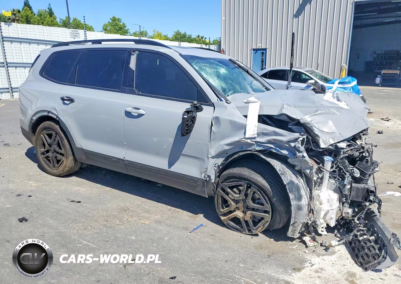 2025 Kia Telluride Sx-Prestige X-Line VIN:5XYP5DGC0SG584422 - 4