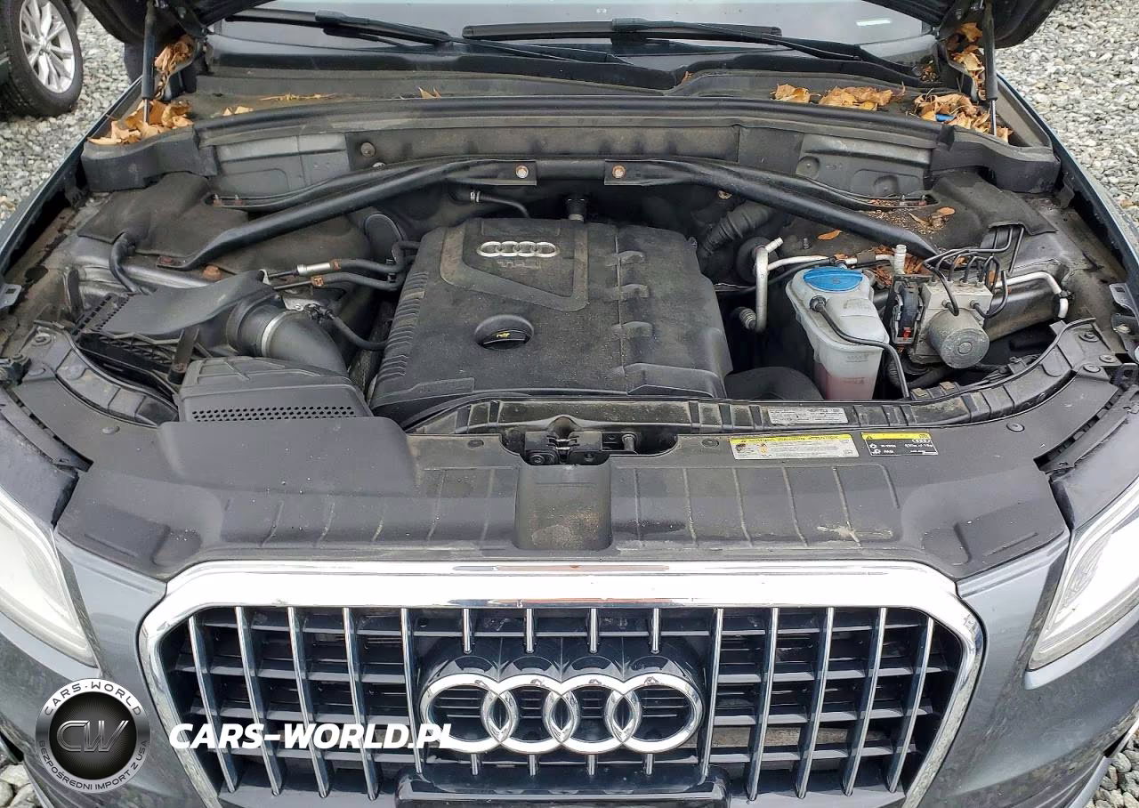 2013 Audi Q5 Premium Plus VIN:WA1LFAFP1DA049191 - 12