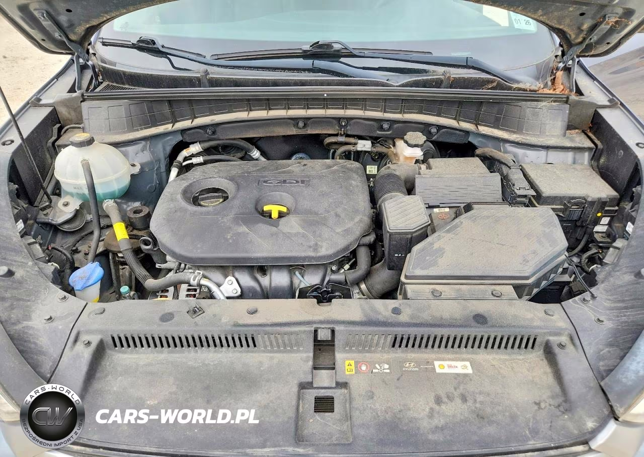 2018 Hyundai Tucson Sel Plus VIN:KM8J33A47JU818801 - 12