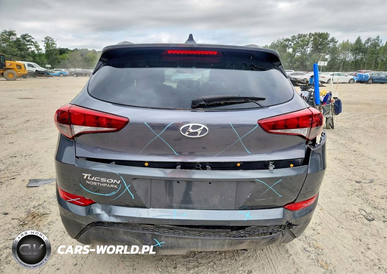 2018 Hyundai Tucson Sel Plus VIN:KM8J33A47JU818801 - 6