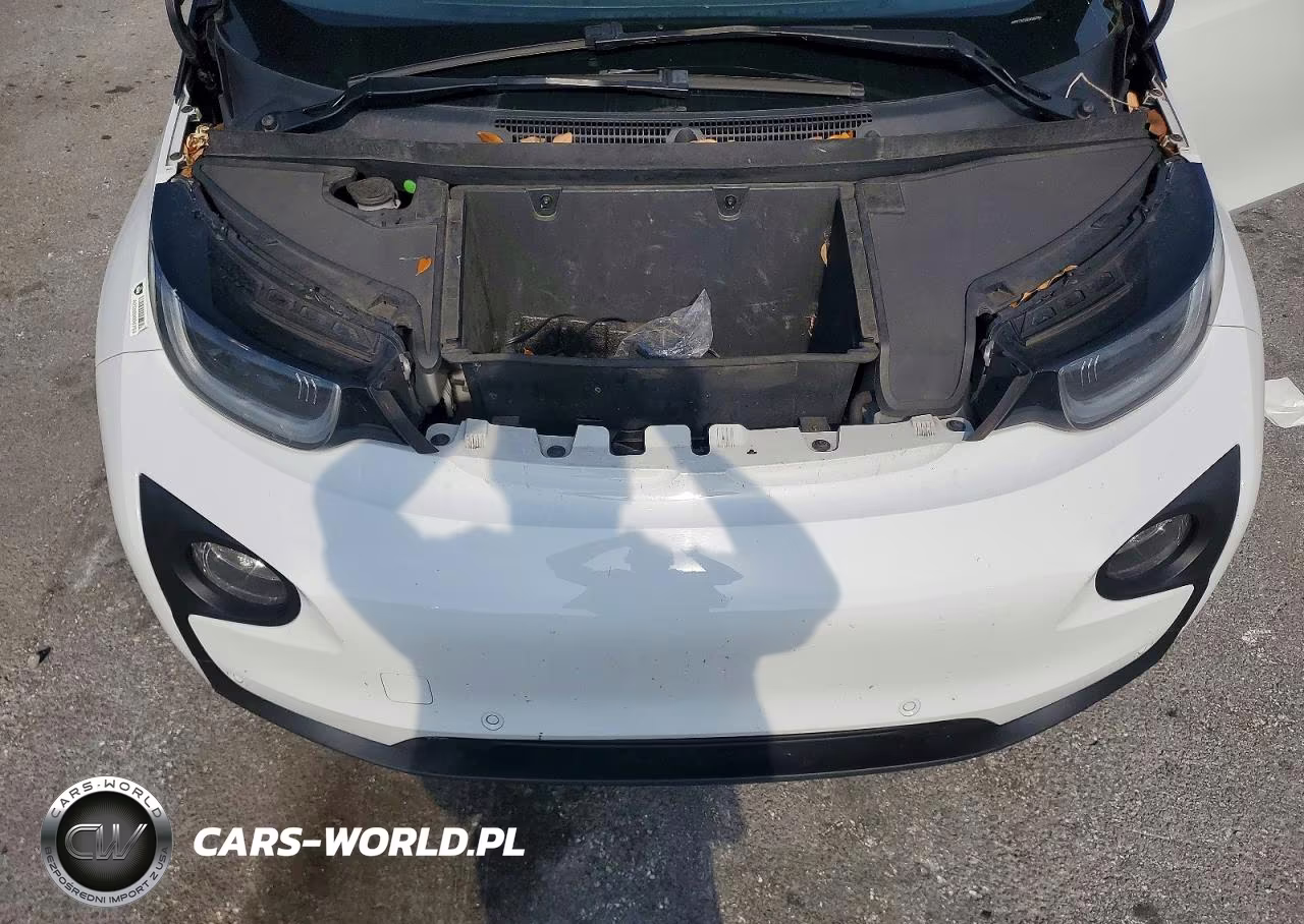 2016 BMW I3 Rex VIN:WBY1Z4C59GV506768 - 11