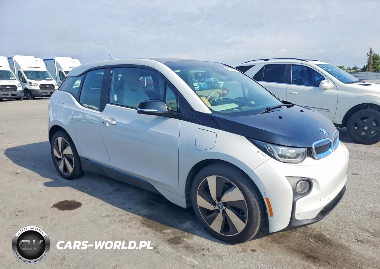 2016 BMW I3 Rex VIN:WBY1Z4C59GV506768 - 4