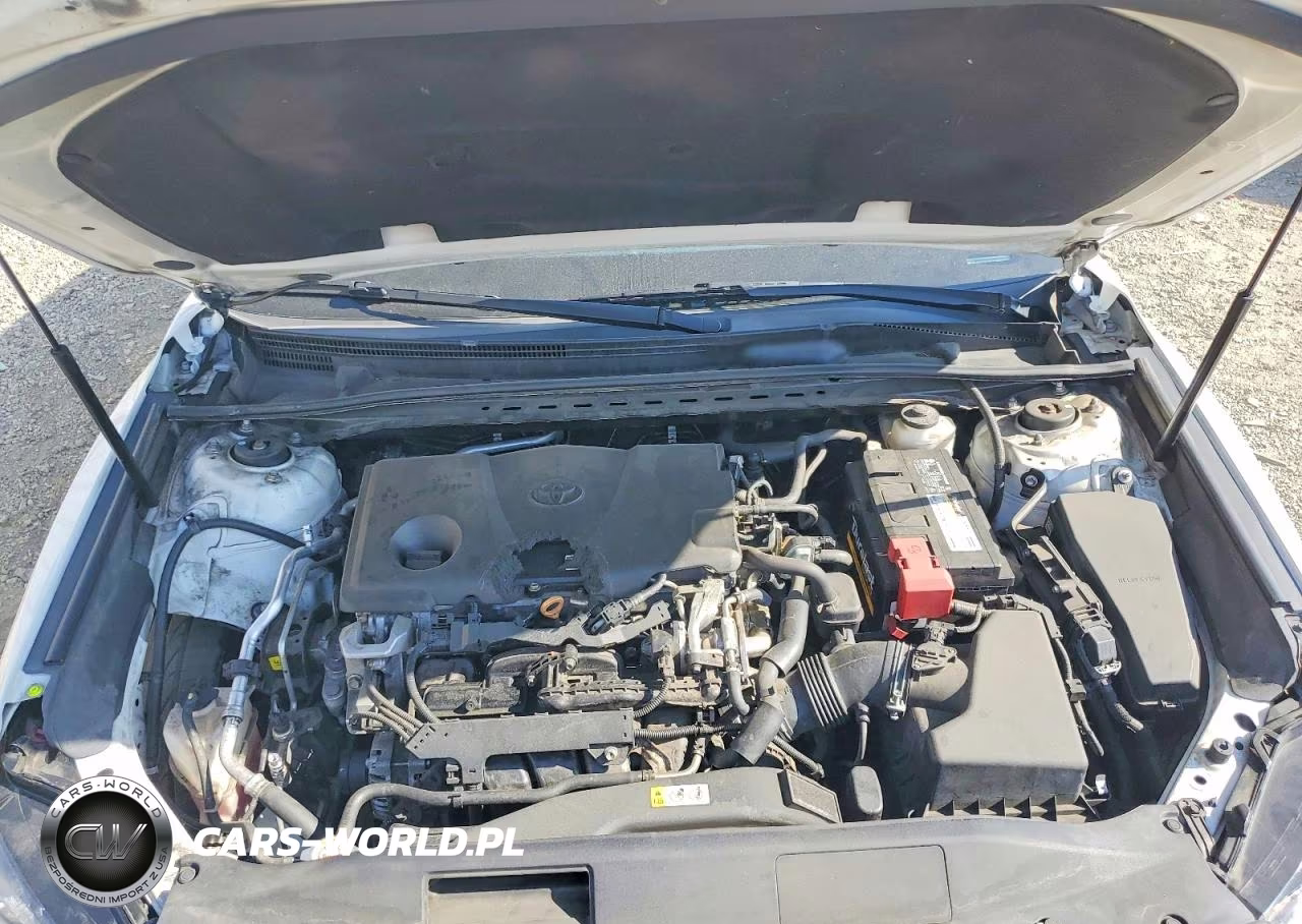 2019 Toyota Camry Le VIN:4T1B11HK4KU838699 - 11