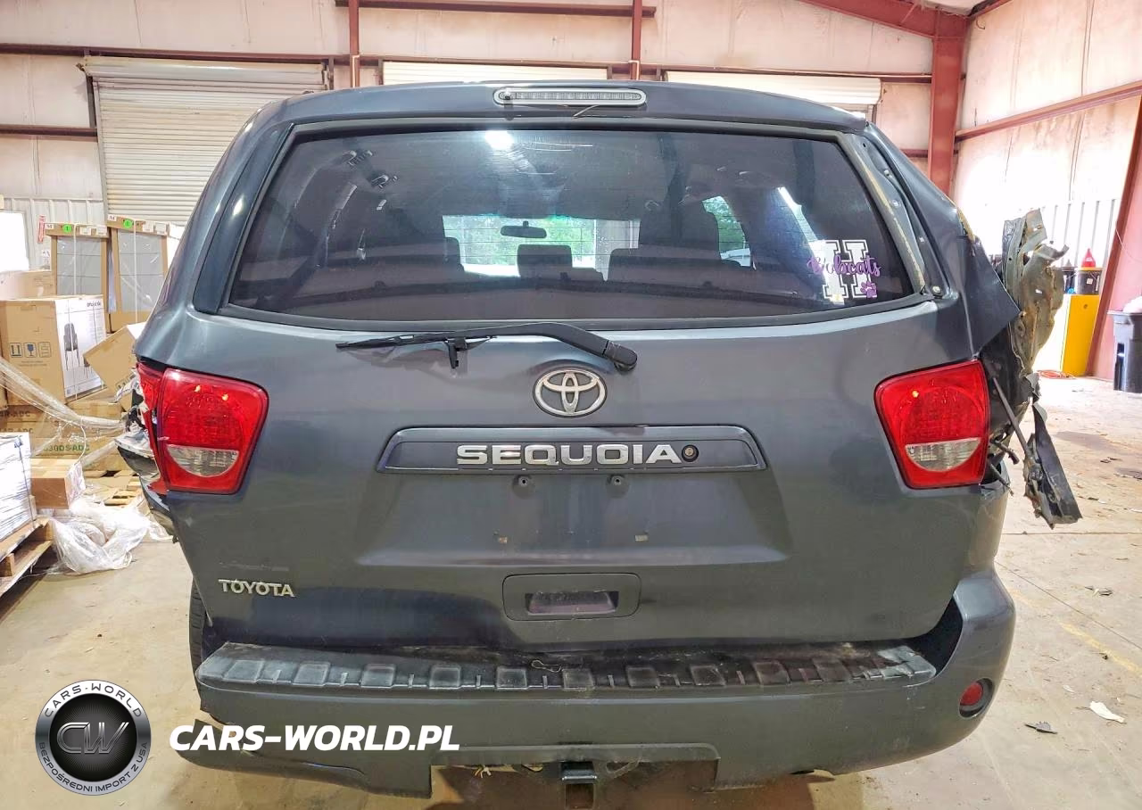2009 Toyota Seqouia VIN:5TDZT64A79S000754 - 6