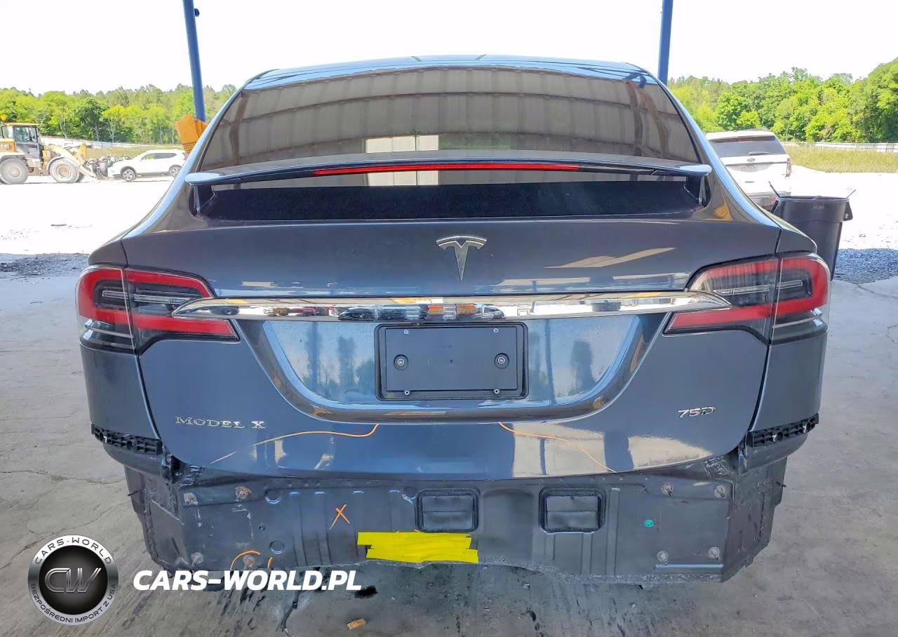 2017 Tesla Model X VIN:5YJXCDE27HF067005 - 6