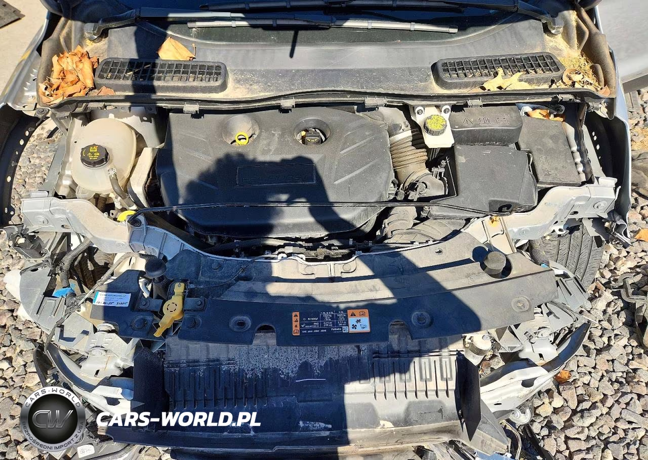 2019 Ford Escape Titanium VIN:1FMCU9J90KUC28977 - 12
