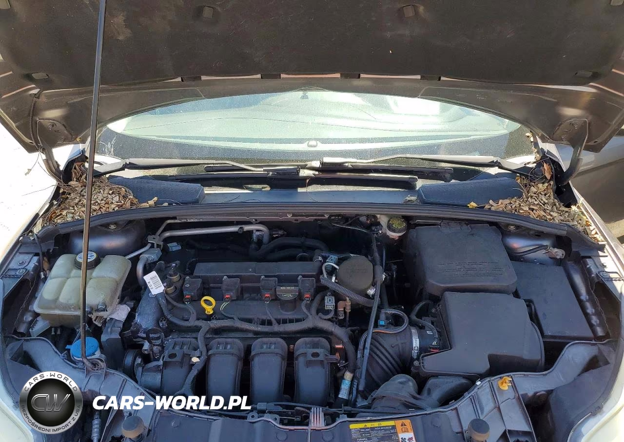 2013 Ford Focus Electric VIN:1FADP3K26DL324917 - 11