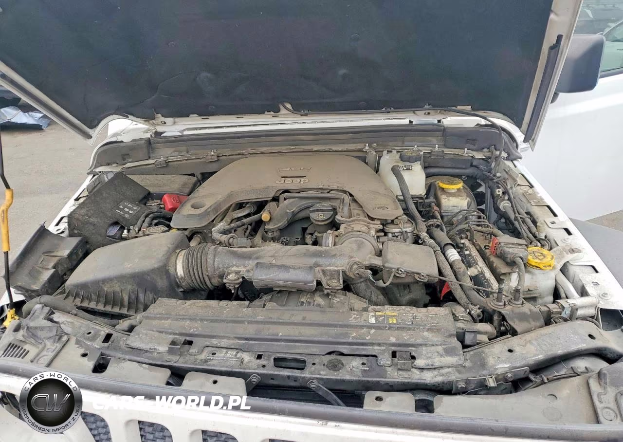2019 Jeep Wrangler Unlimited Sport VIN:1C4HJXDG7KW551347 - 12