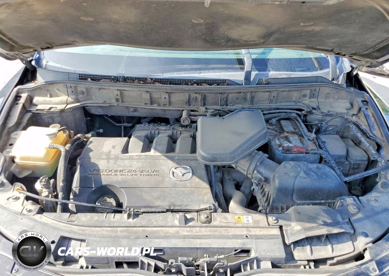 2013 Mazda Cx-9 Touring VIN:JM3TB2CA0D0421592 - 12