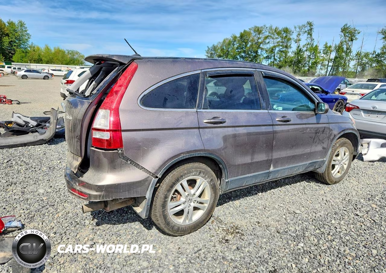 2010 Honda Cr-V Exl VIN:5J6RE4H72AL816056 - 3