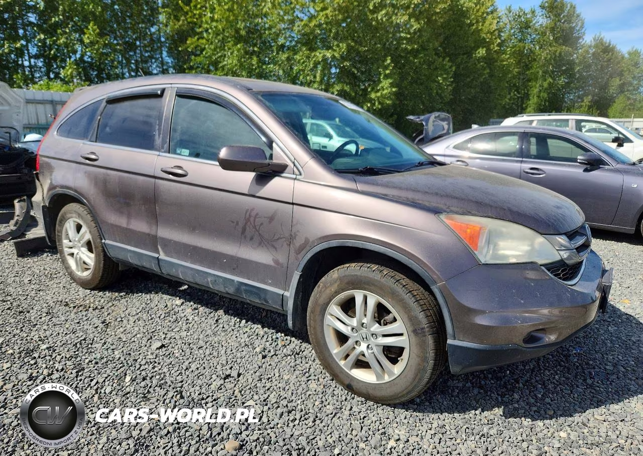 2010 Honda Cr-V Exl VIN:5J6RE4H72AL816056 - 4