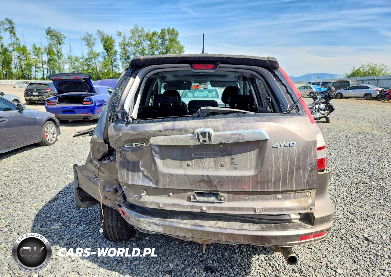 2010 Honda Cr-V Exl VIN:5J6RE4H72AL816056 - 6