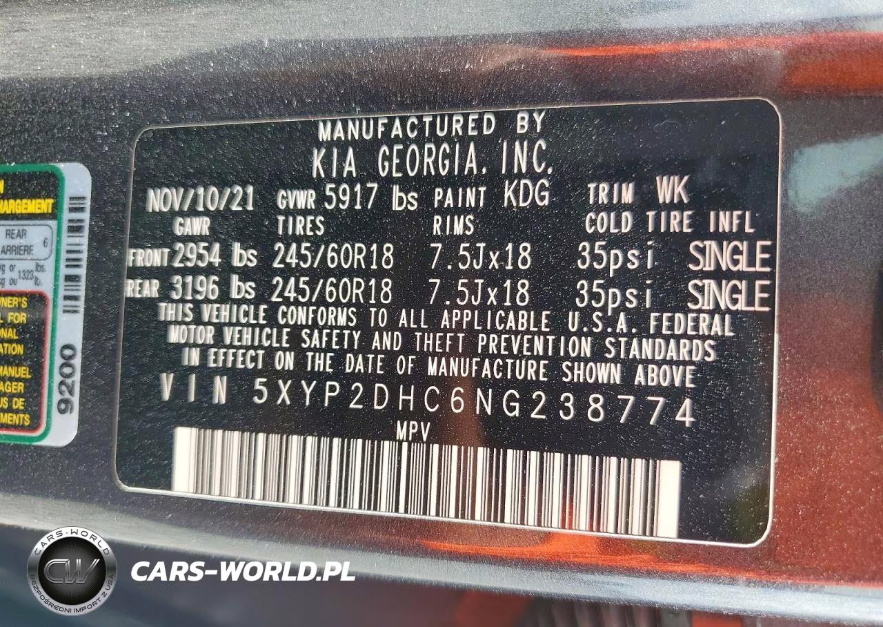 2022 Kia Telluride Lx VIN:5XYP2DHC6NG238774 - 13