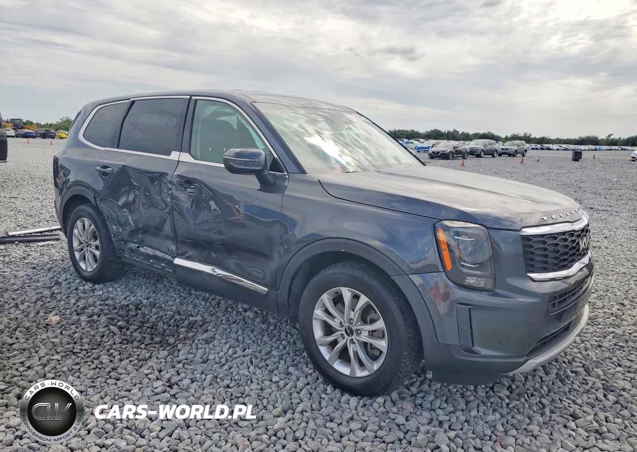 2022 Kia Telluride Lx VIN:5XYP2DHC6NG238774 - 4