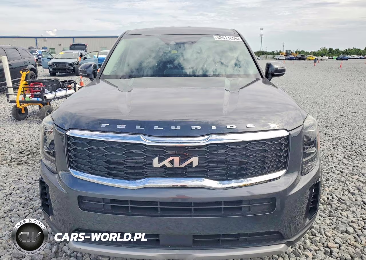 2022 Kia Telluride Lx VIN:5XYP2DHC6NG238774 - 5