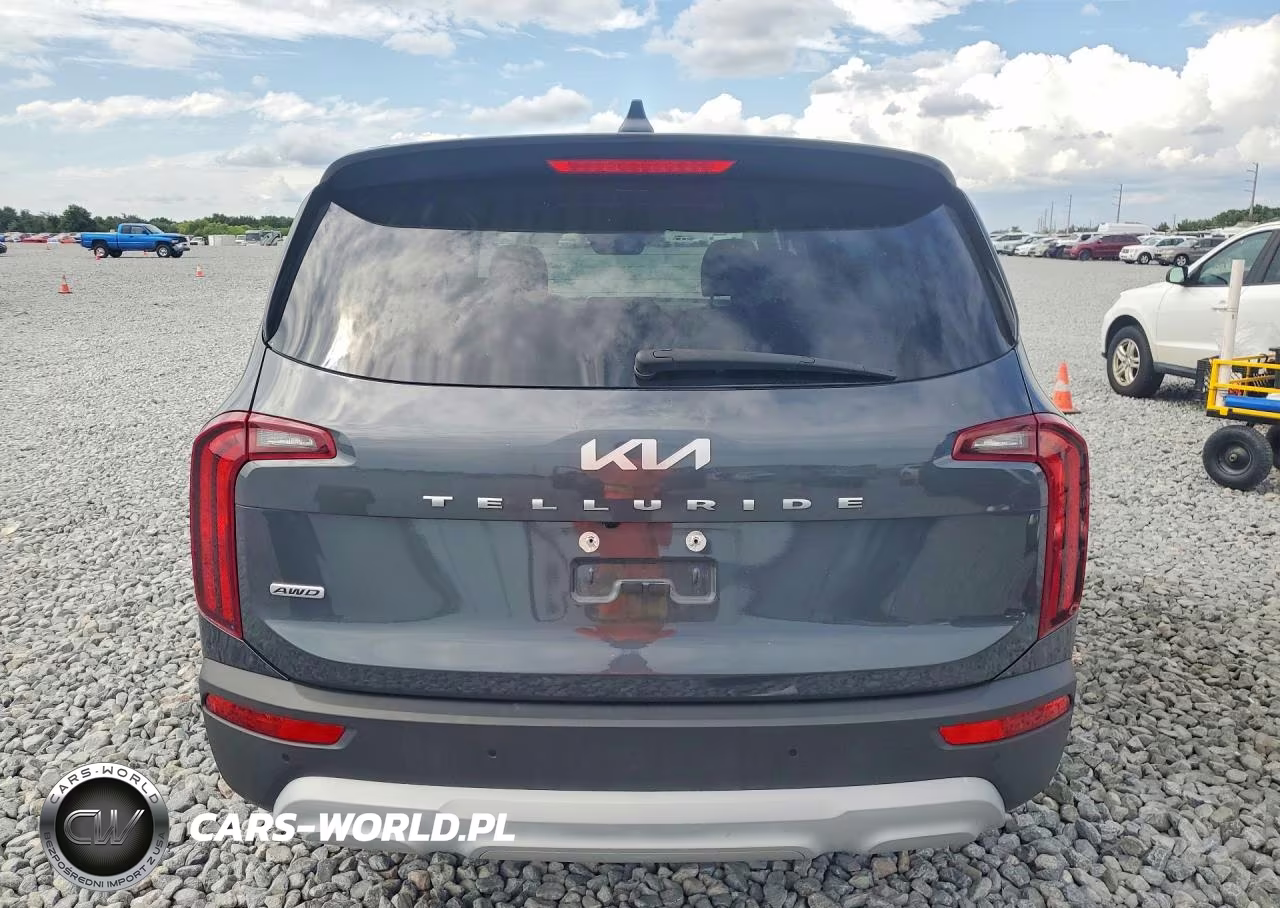 2022 Kia Telluride Lx VIN:5XYP2DHC6NG238774 - 6