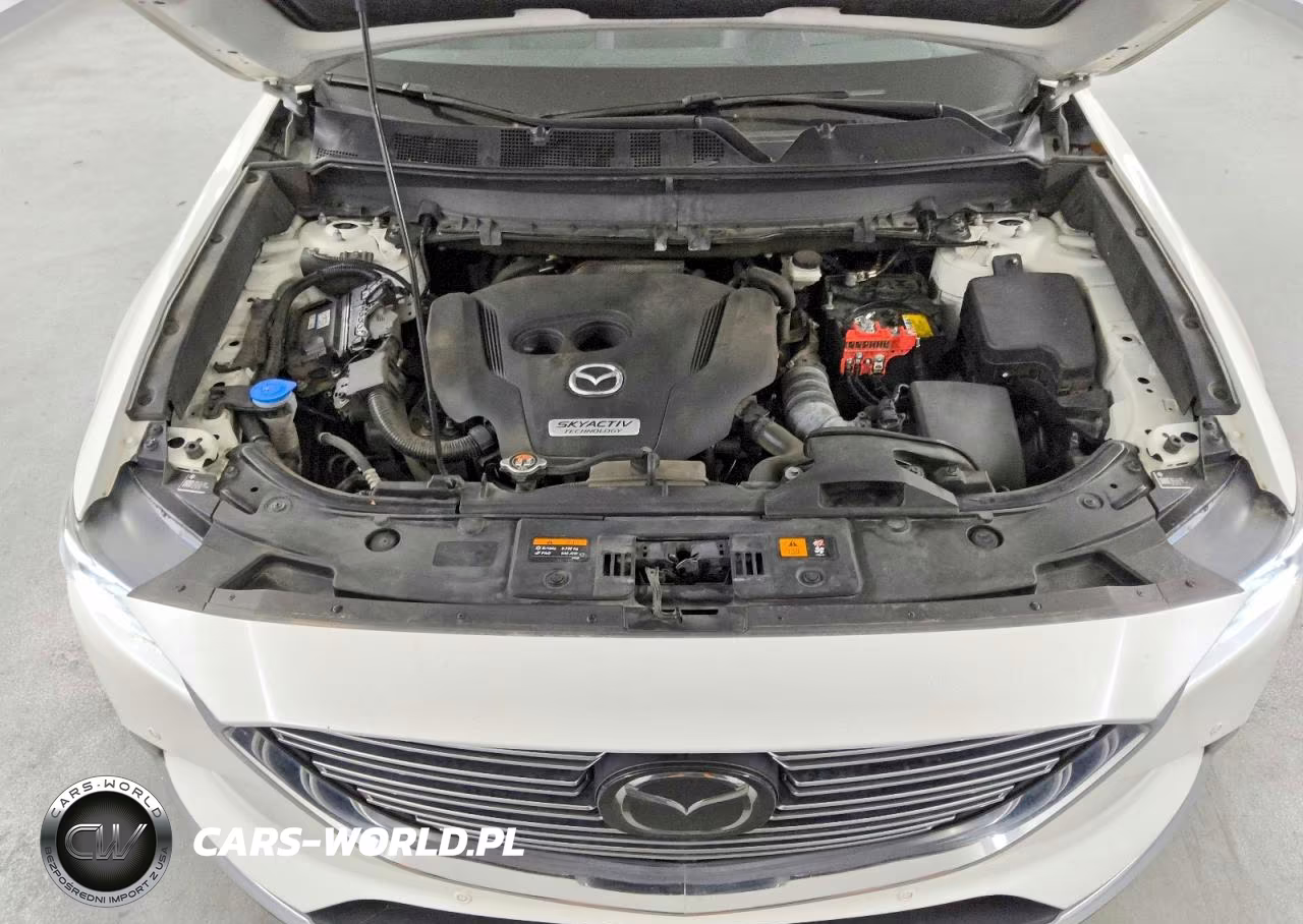 2019 Mazda Cx-9 Grand Touring VIN:JM3TCBDY5K0331926 - 12