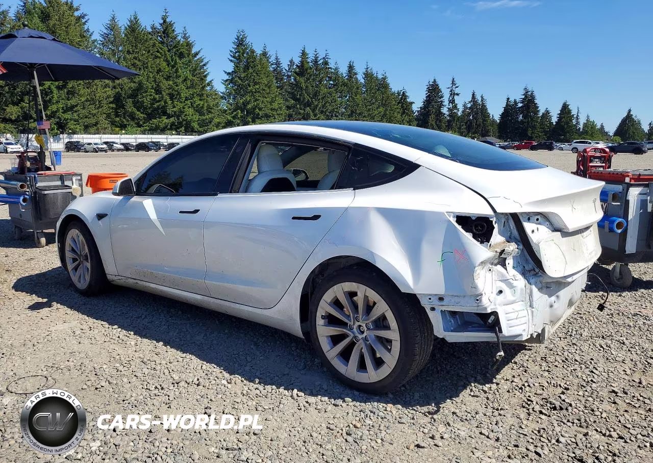 2021 Tesla Model 3 VIN:5YJ3E1EAXMF978079 - 2