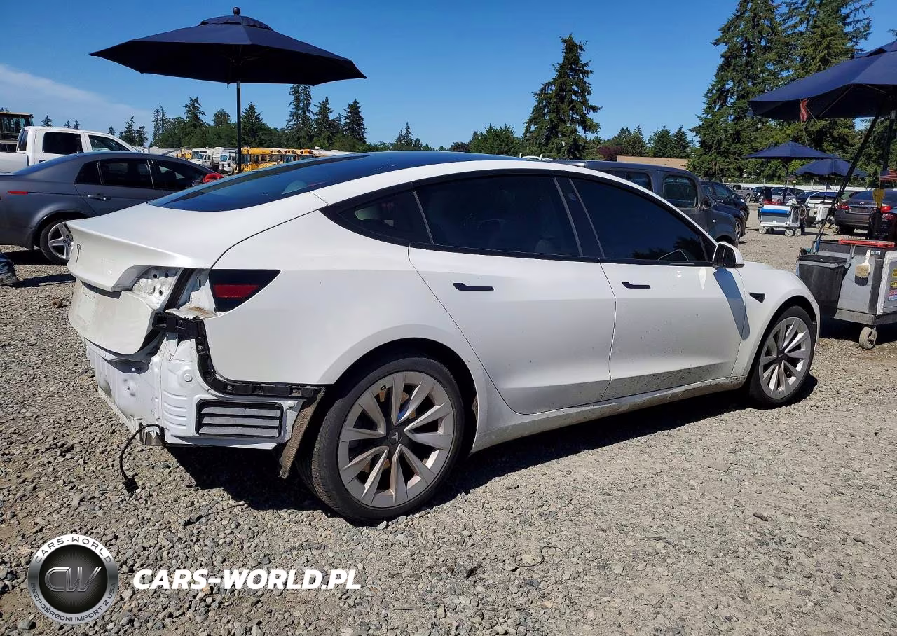 2021 Tesla Model 3 VIN:5YJ3E1EAXMF978079 - 3