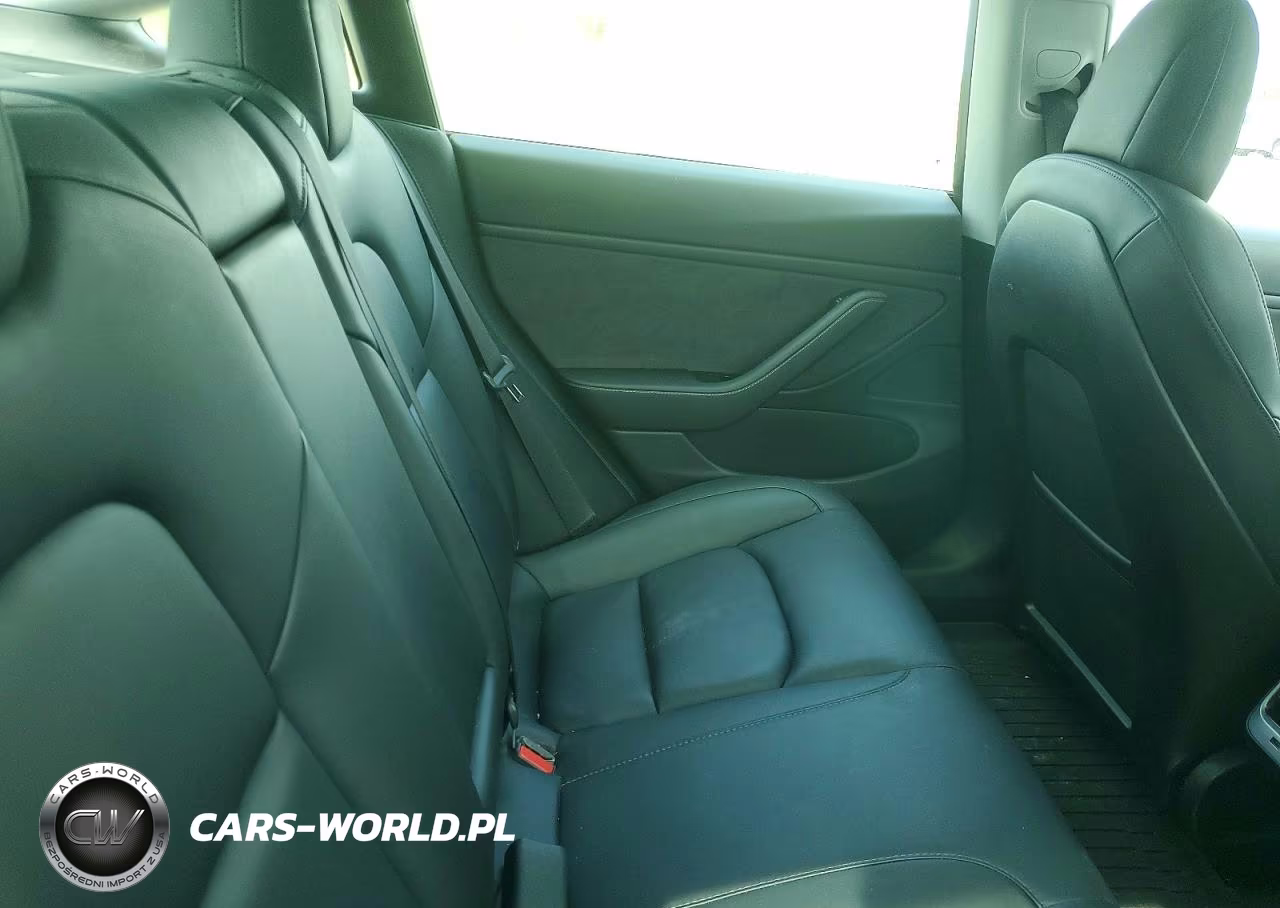 2020 Tesla Model 3 VIN:5YJ3E1EB6LF618332 - 10