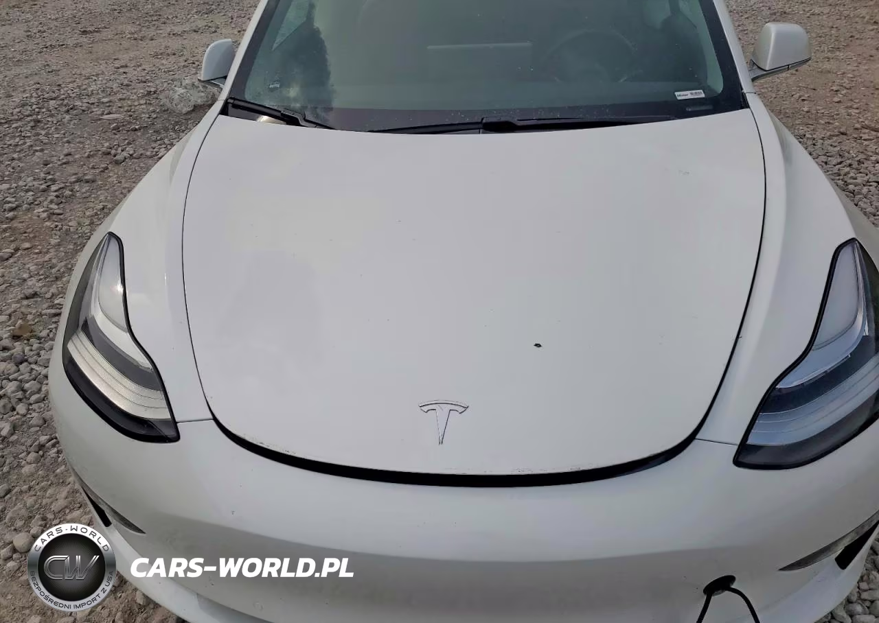 2020 Tesla Model 3 VIN:5YJ3E1EB6LF618332 - 11