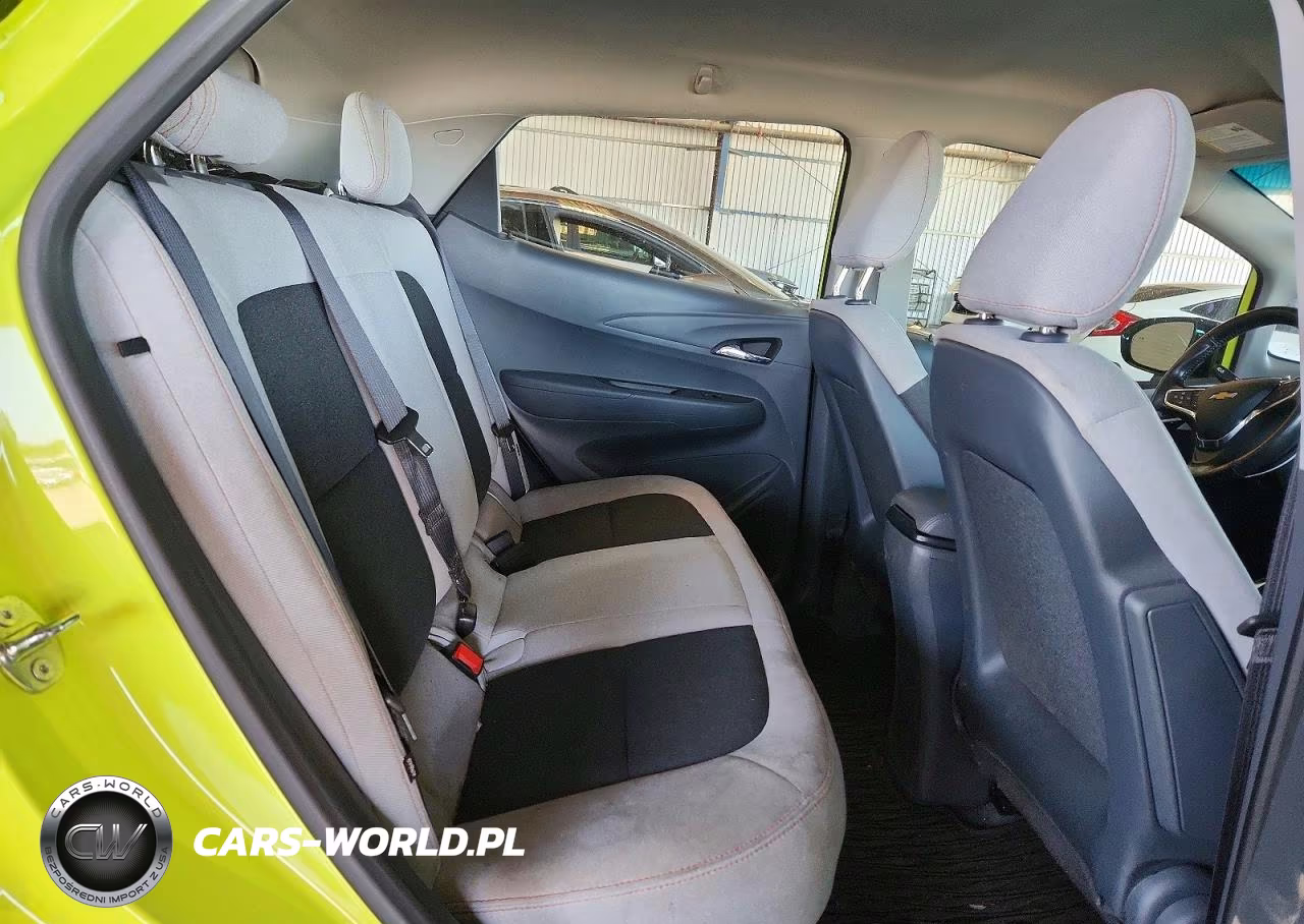 2019 Chevrolet Bolt Ev Lt VIN:1G1FY6S02K4103525 - 10