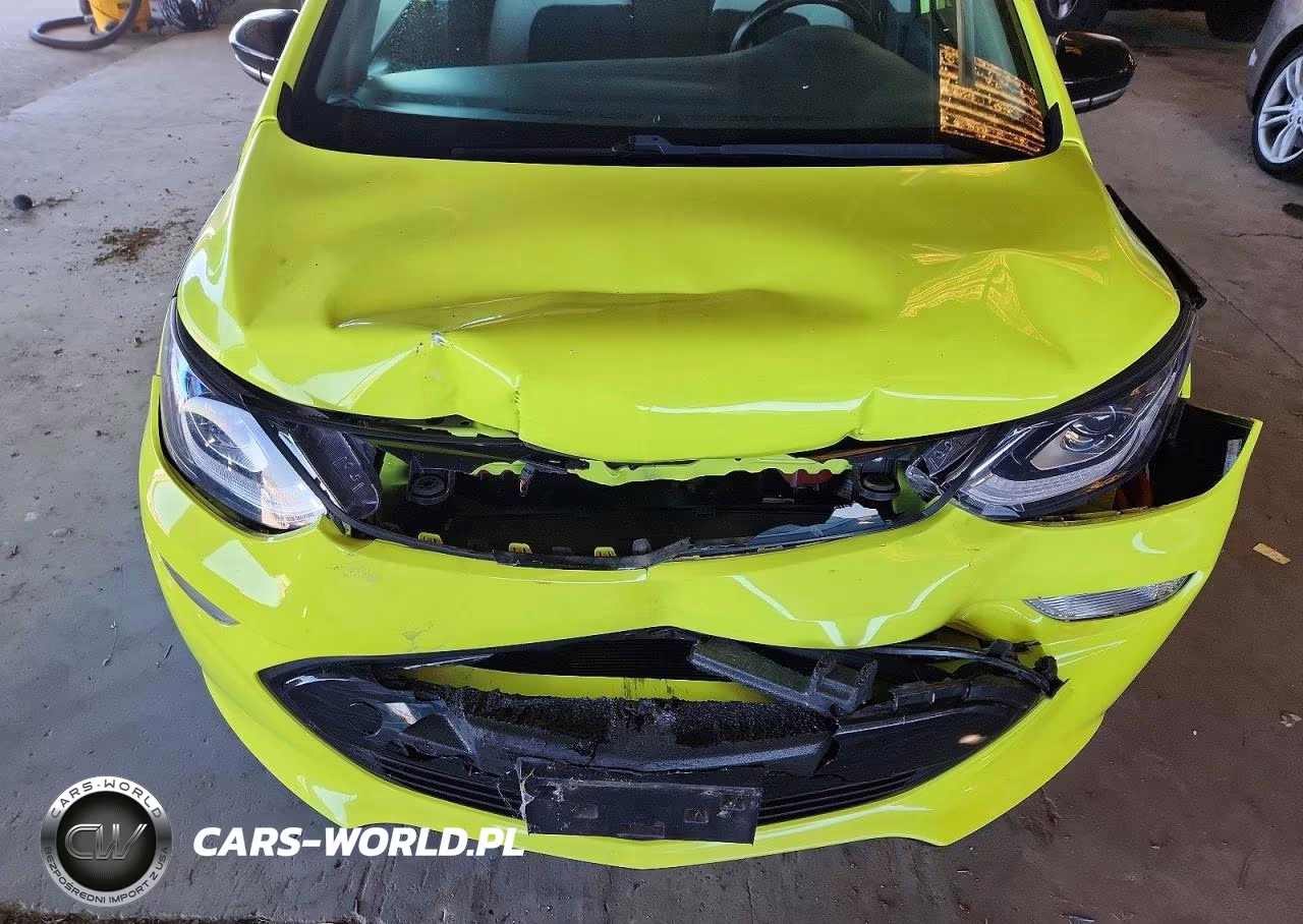 2019 Chevrolet Bolt Ev Lt VIN:1G1FY6S02K4103525 - 11