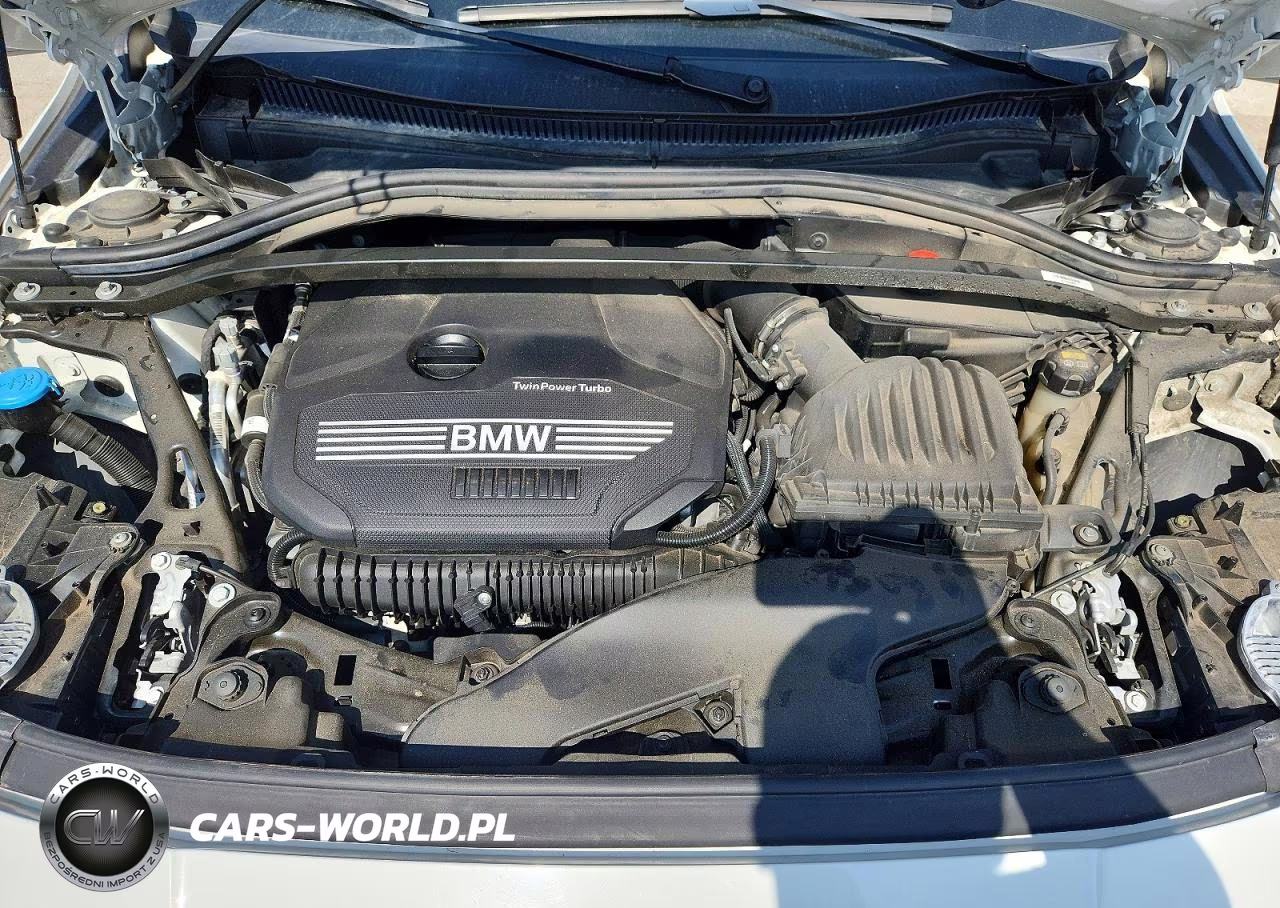 2021 BMW 228Xi VIN:WBA73AK00M7H67448 - 11