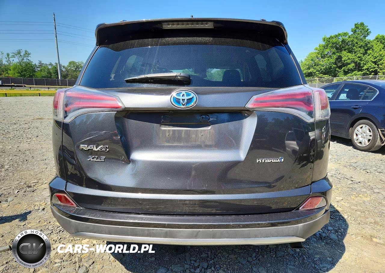 2016 Toyota Rav4 Hv Xle VIN:JTMRJREV0GD013637 - 6