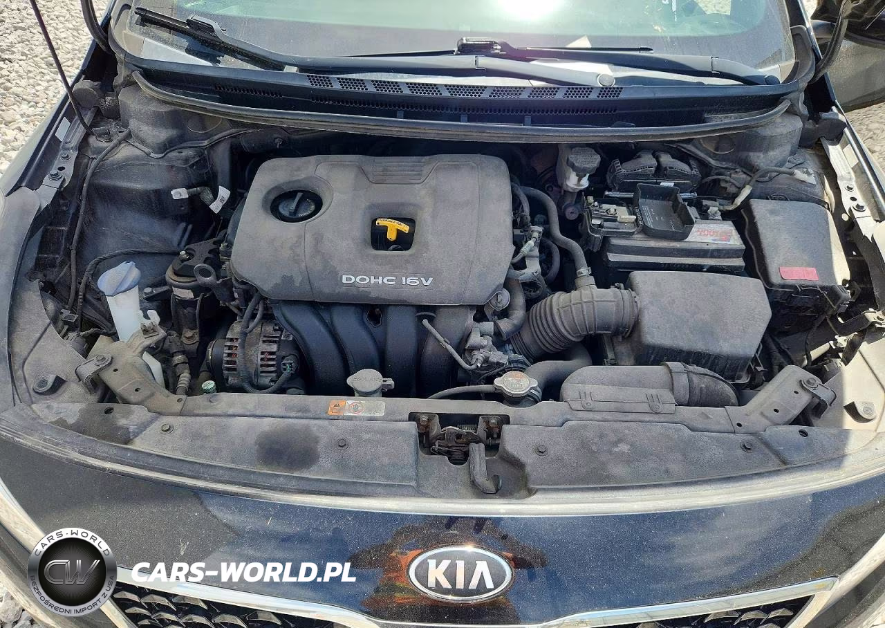 2018 Kia Forte Lx VIN:3KPFK4A77JE167889 - 11