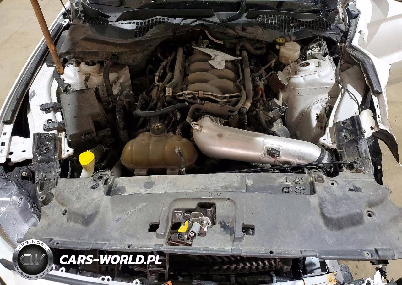 FORD MUSTANG VIN:1FA6P8CF9L5189071 - 11