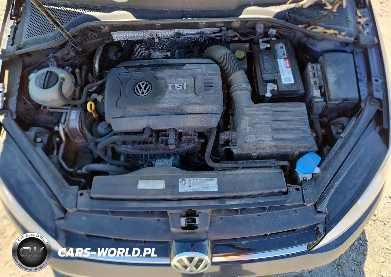 2016 Volk Golf Sportwagon Wago VIN:3VWC17AU7GM514808 - 11