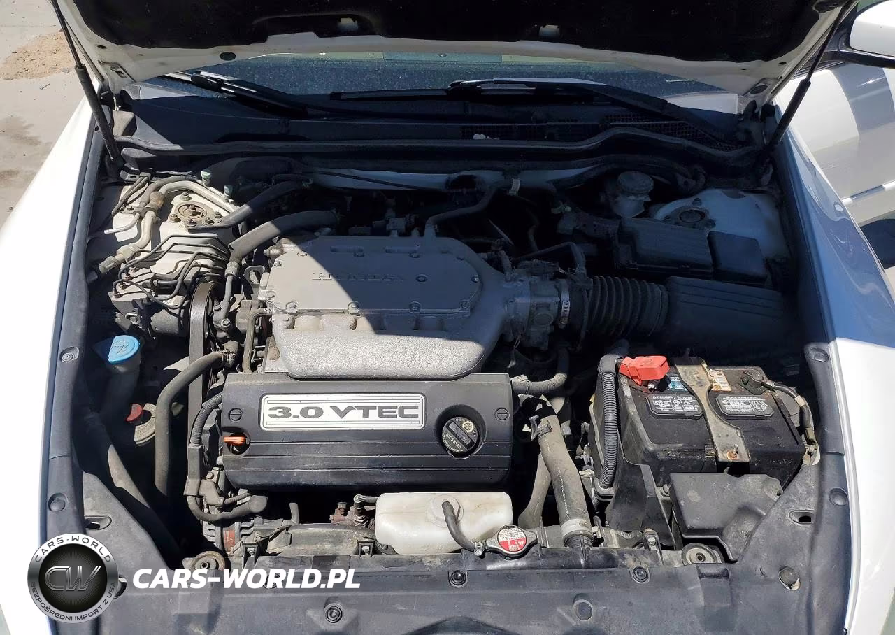 2007 Honda Accord Ex VIN:1HGCM66557A062507 - 11